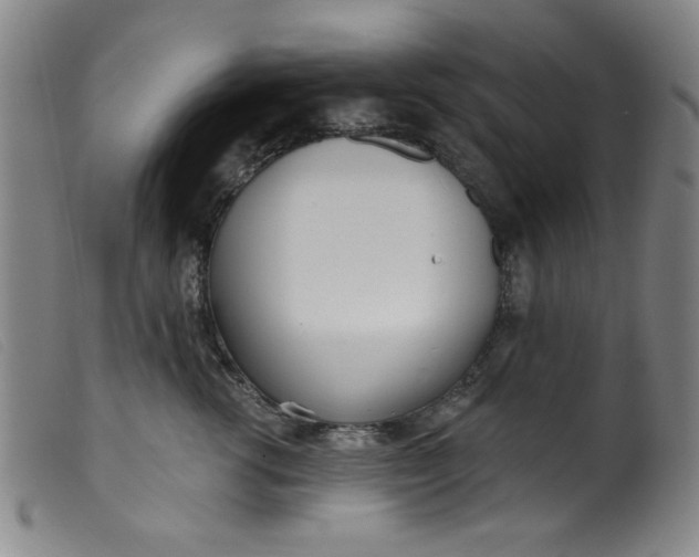 X0000099320762200805161400