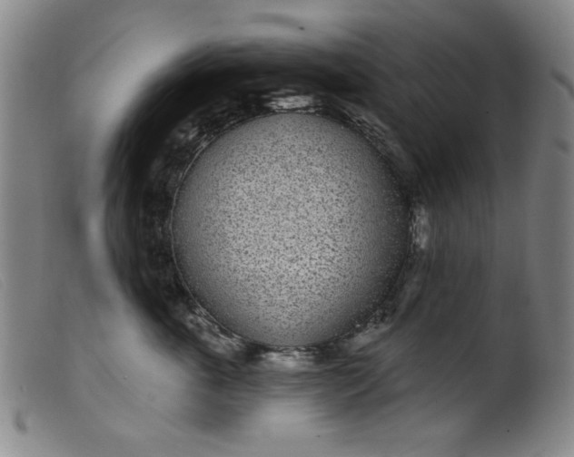 X0000099320763200805161400