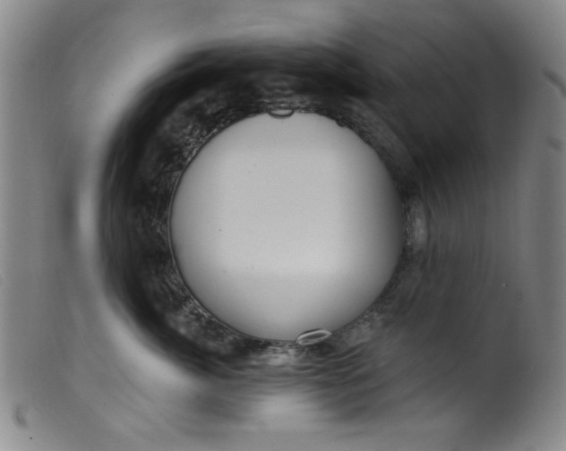 X0000099320764200805161400