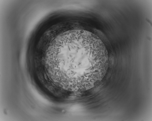 X0000099320765200805161400