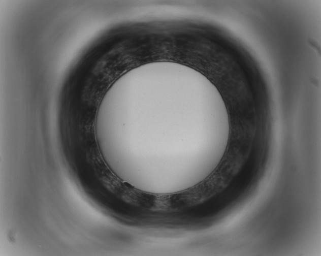 X0000099320766200805161400