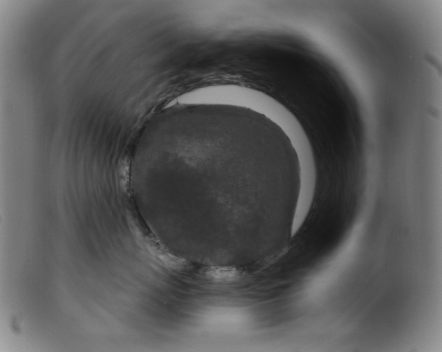 X0000099320767200805161400