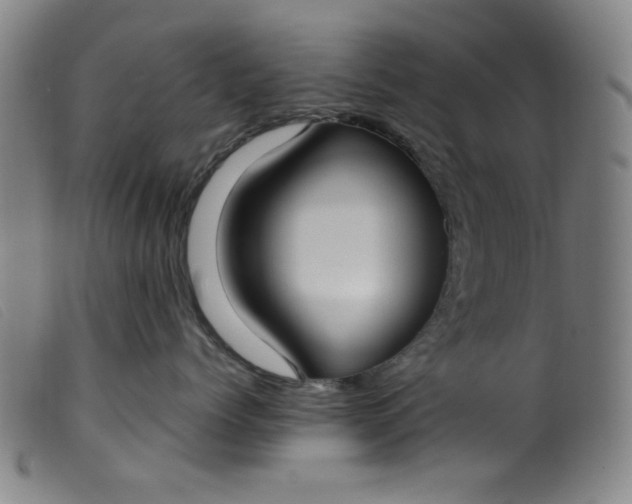 X0000099320768200805161400