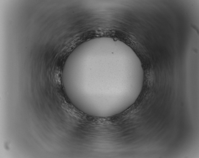 X0000099320770200805161400