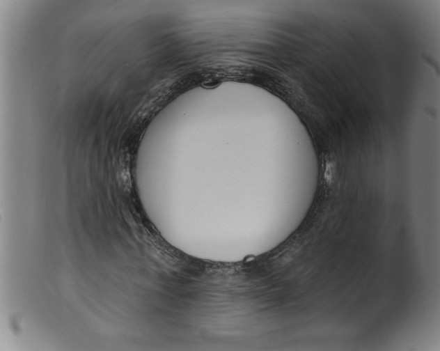 X0000099320771200805161400