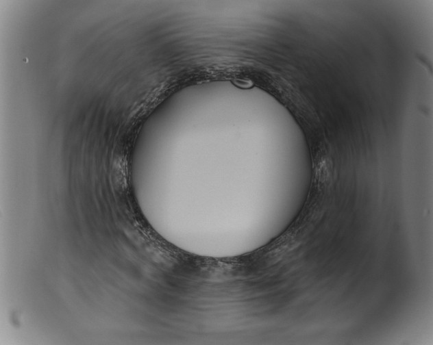 X0000099320772200805161359