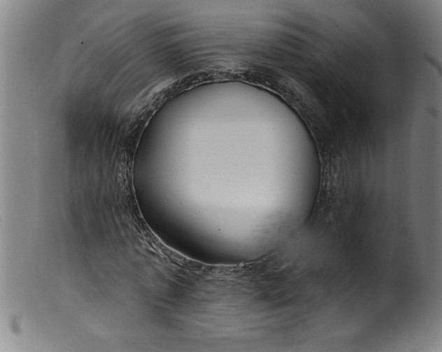 X0000099320773200805161359