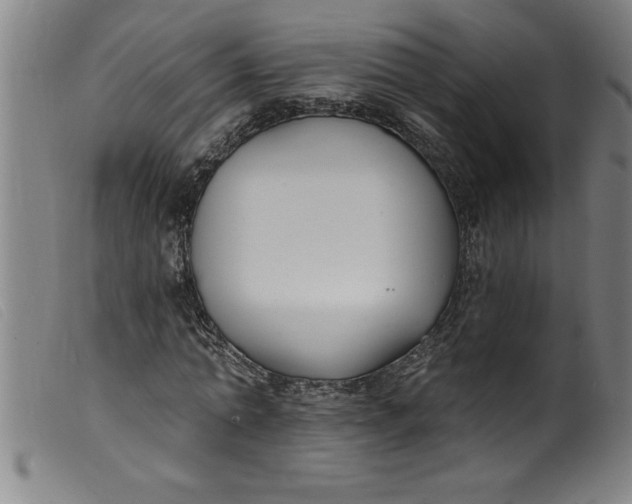 X0000099320774200805161359