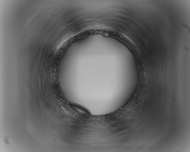 X0000099320775200805161359