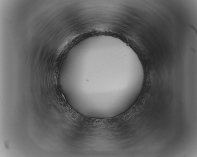 X0000099320776200805161359