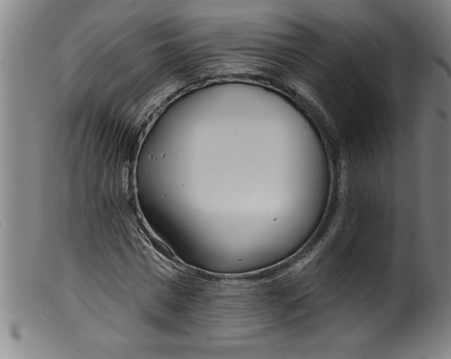 X0000099320777200805161359