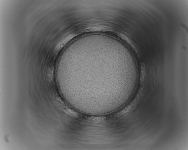 X0000099320778200805161359