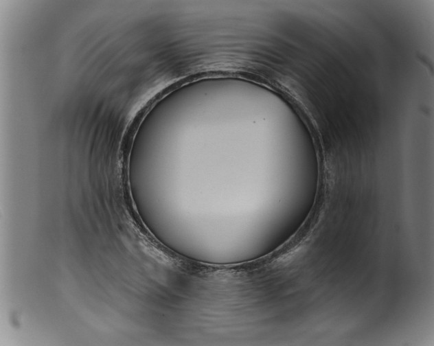 X0000099320779200805161359