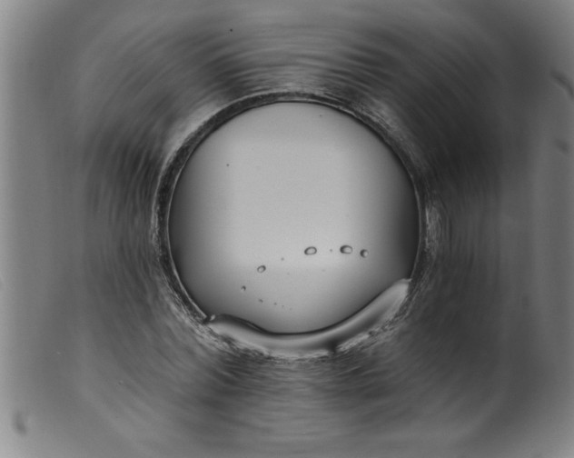 X0000099320780200805161359