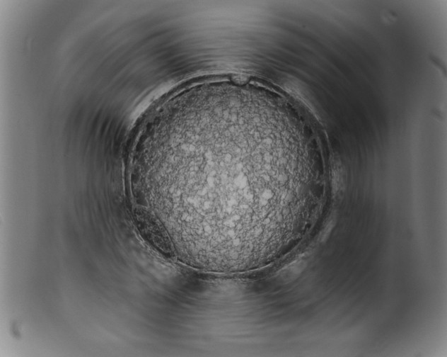 X0000099320781200805161359