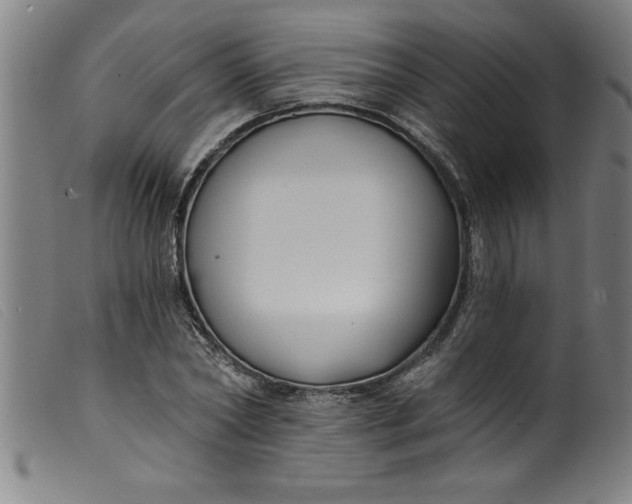 X0000099320782200805161359