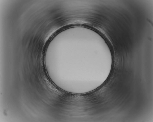 X0000099320783200805161359