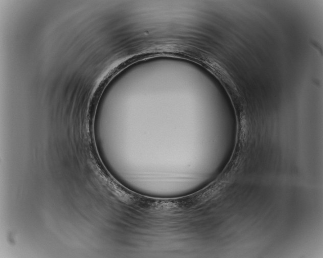 X0000099320784200805161359