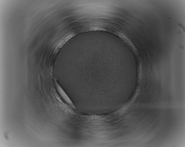 X0000099320785200805161359