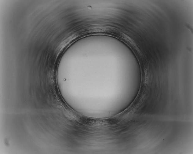 X0000099320786200805161359