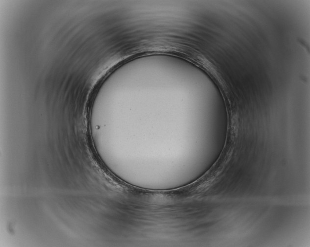 X0000099320787200805161359