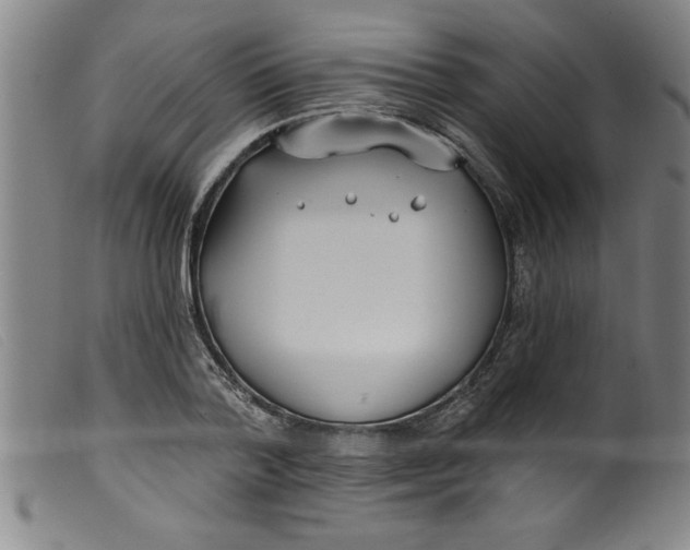 X0000099320788200805161359