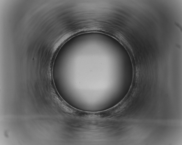 X0000099320789200805161359