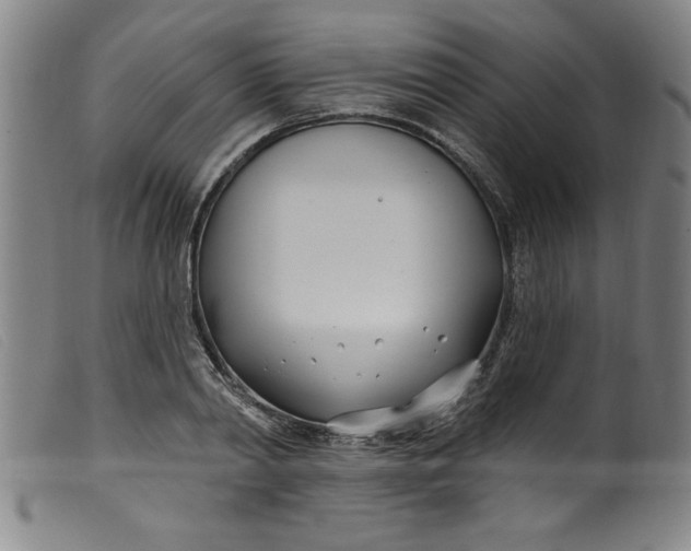 X0000099320790200805161359