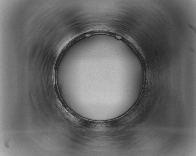 X0000099320791200805161359