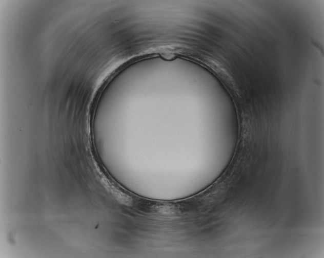 X0000099320792200805161359