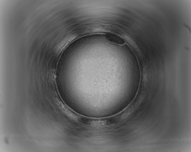 X0000099320793200805161359