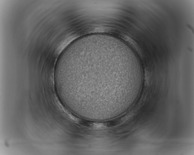 X0000099320794200805161359