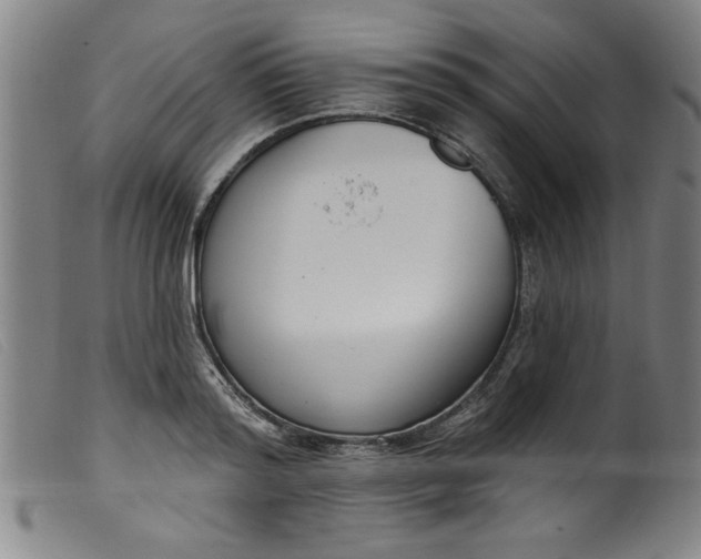 X0000099320796200805161359