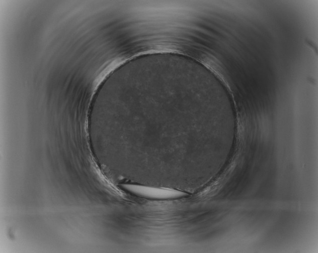 X0000099320797200805161359