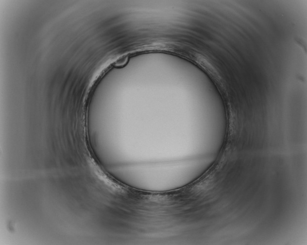 X0000099320800200805161359