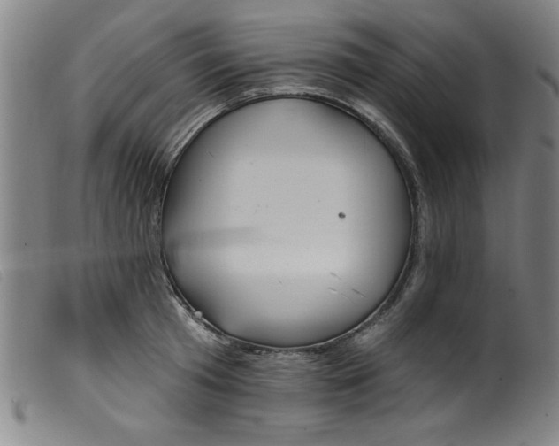 X0000099320801200805161359