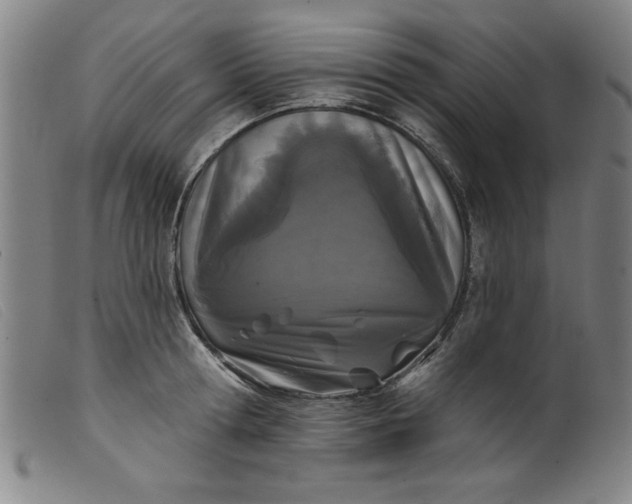 X0000099320802200805161359