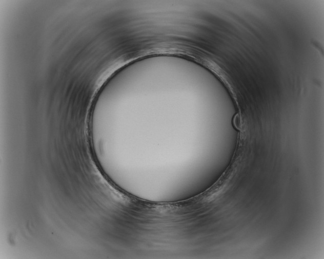 X0000099320803200805161359