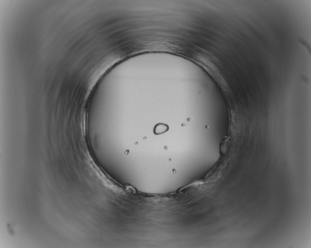 X0000099320804200805161359