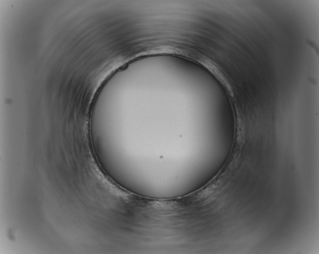 X0000099320805200805161359