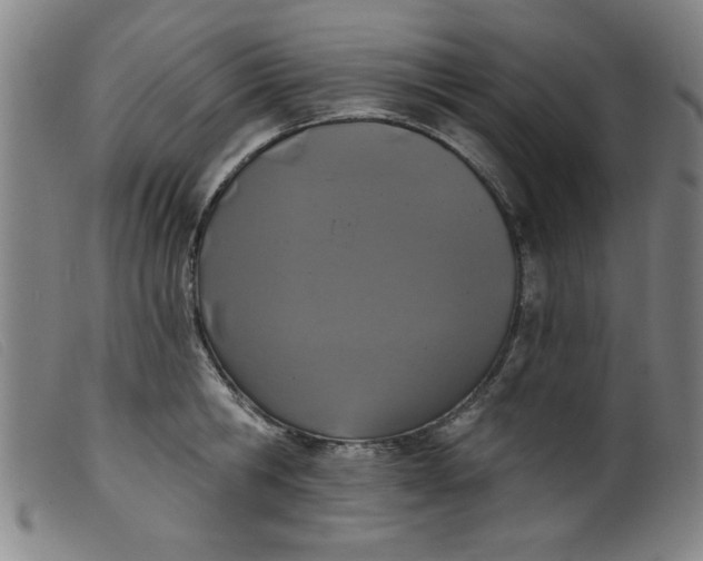 X0000099320806200805161359