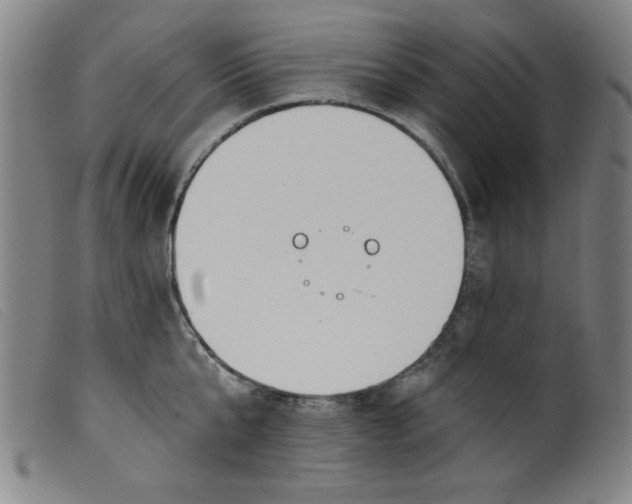 X0000099320807200805161359