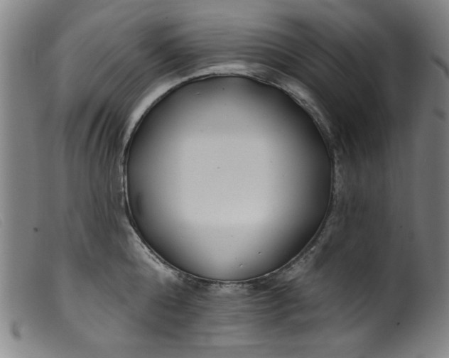 X0000099320808200805161359