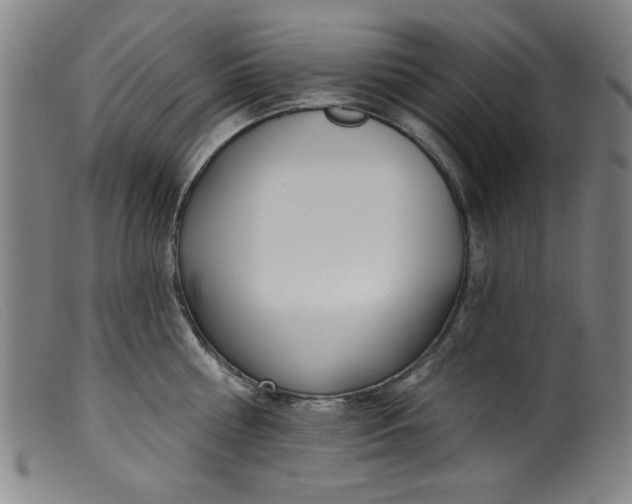 X0000099320810200805161359