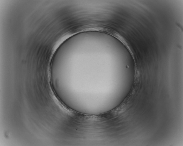 X0000099320811200805161359