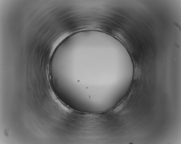 X0000099320812200805161359