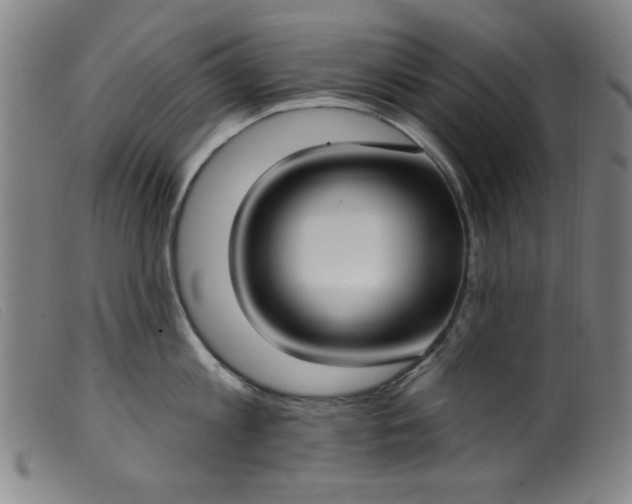 X0000099320813200805161359