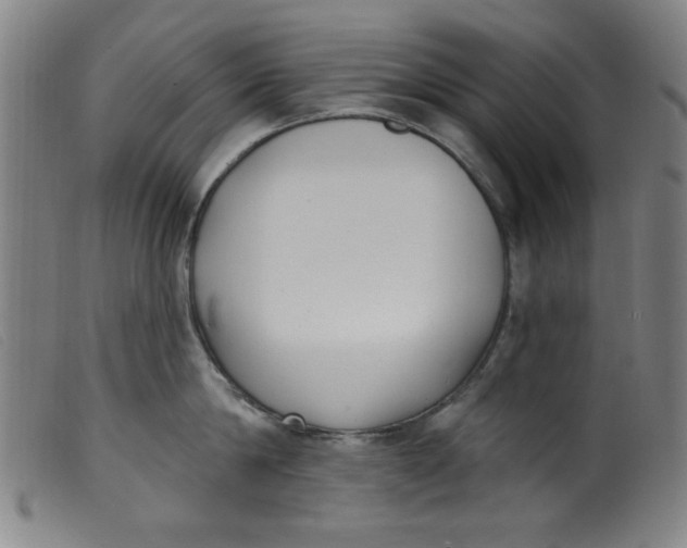 X0000099320814200805161359