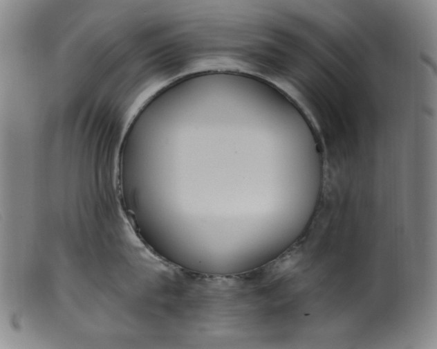 X0000099320815200805161359