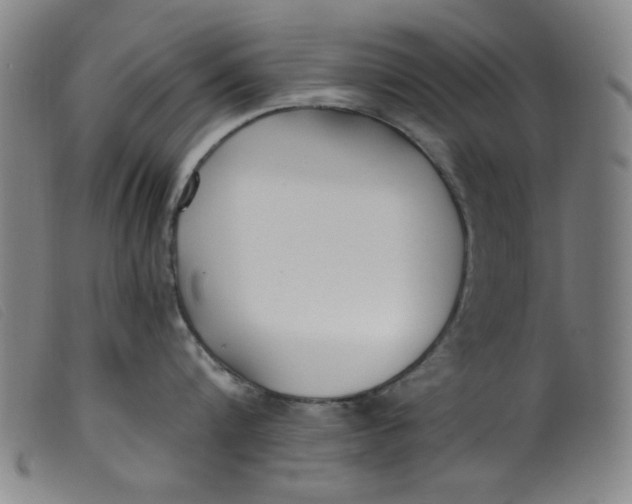 X0000099320816200805161359